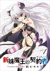 DVD The Testament of Sister New Devil BURST Vol.1 Regular Edition