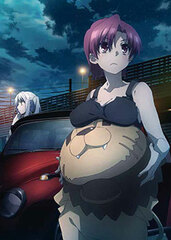 DVD Fate/kaleid liner Prisma Illya 2wei Herz! Vol.2 Regular Edition