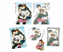 DVD Junjou Romantica 3 Vol.2 First Press Limited Edition