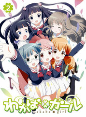 DVD Wakaba Girl Vol.2 First Press Limited Edition w/Event Advance Application Lottery Form