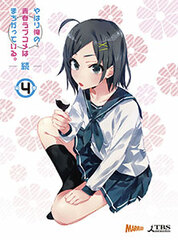 DVD My Teen Romantic Comedy SNAFU 2 Vol.4 First Press Limited Edition w/Newly Written Novella by Wataru Watari
