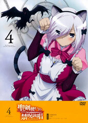 DVD Seiken Tsukai no World Break Vol.4