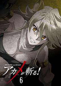 DVD Akame ga KILL! vol.6 First Press Limited Edition