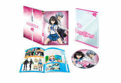 DVD Strike the Blood IV OVA Vol.6 First Press Edition
