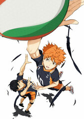 DVD Haikyuu!! Vol.1 First Press Limited Edition