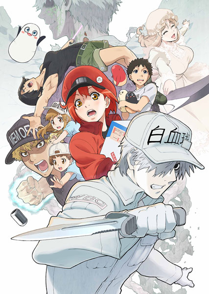 DVD Cells at Work!!! 4 Regular Edition