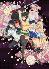 DVD Senran Kagura Vol.4