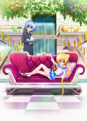 DVD Hayate the Combat Butler: Can't Take My Eyes Off You Vol.5 First Press Limited Edition
