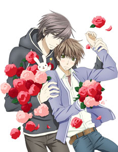 DVD Sekaiichi Hatsukoi 2 Vol.2 Regular Edition