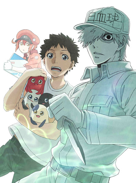 DVD Cells at Work!!! 3 Regular Edition
