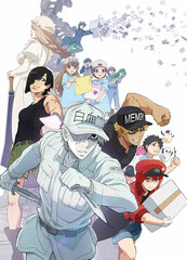 DVD Special Screening Edition 