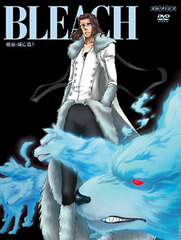 DVD BLEACH Season 14: Arrancar: Downfall Vol.5