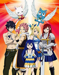 DVD FAIRY TAIL Vol.13