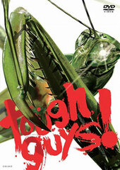 DVD Tough Guys!!(tentative name)