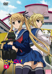 DVD Nyankoi! Vol.5 Regular Edition