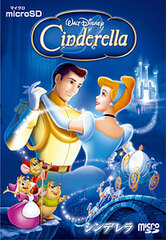 microSD Cinderella