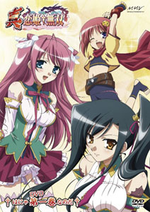 DVD Shin Koihime Musou Vol.1 Standard Edition
