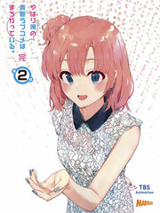 DVD My Teen Romantic Comedy SNAFU. Completion Vol.2 First Press Limited Edition