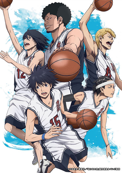 DVD Ahiru no Sora vol.13