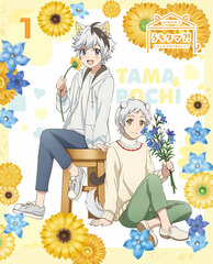 DVD Uchitama?! -Uchi no Tama Shirimasen ka?- 1 Completely Limited Production Edition