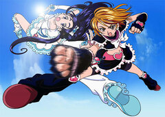 DVD Futari wa Pretty Cure Recap -Bucchake, Arienai!? 2020 edition-