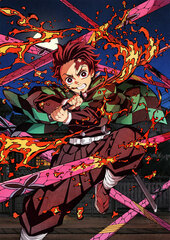 DVD Demon Slayer: Kimetsu no Yaiba Entertainment District Arc 3 Completely Limited Production Edition