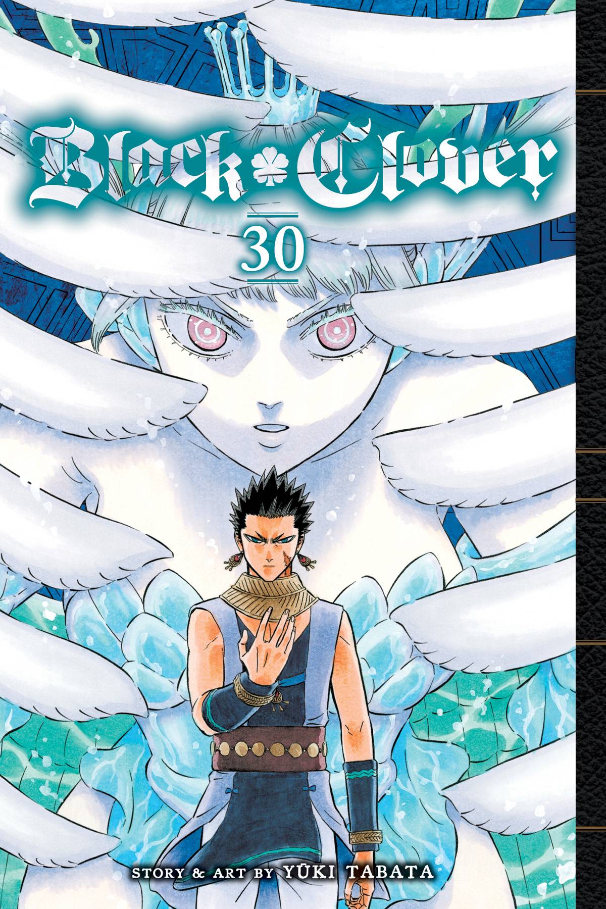 Black Clover Gn Vol 30 (STL231350)