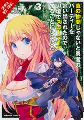 Banished From Hero Party Quiet Countryside Gn Vol 03 (STL234696)