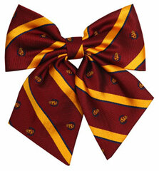 TE-12AW Ribbon (Emblem/Dark Red/Yellow)