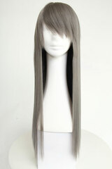 Heat Resistant Anime Wig Straight Long Silver