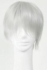 Heat Resistant Anime Wig Angel Short Silver