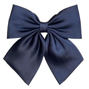 TE-10SS Plain Ribbon Navy