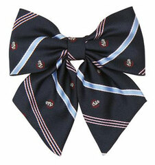 TE-10SS Patterned Ribbon Navy/Emblem