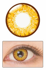 Etia Coeur 1day Caramel Gold -5.25 - -8.00
