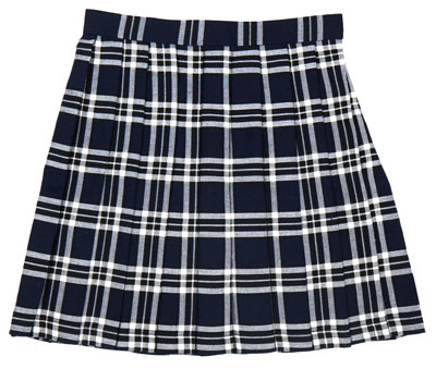 TE-10SS Pleated Skirt (Naxy x White)  L