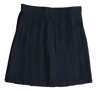 TE-10SS Pleated Skirt (5) M Plain Navy