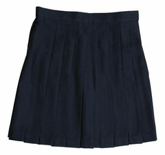 TE-10SS Pleated Skirt (5) M Plain Navy