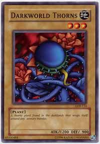 Darkworld Thorns - LOB-114 - Common - Unlimited Edition