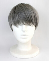 Persona 4 The Golden Character Wig Protagonist