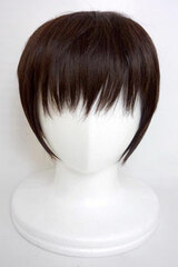 Haruhi Suzumiya Series Melancholy - Wig: Anime Ver. Kyon