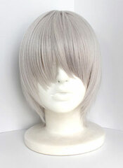 Inu x Boku SS - Wig: Anime Ver.Soushi Miketsukami