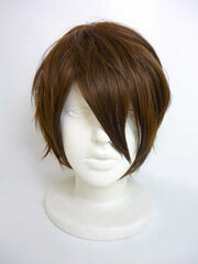 Haruhi Suzumiya Series Melancholy - Wig: Anime Ver. Itsuki Koizumi