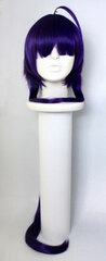 MAGI - Wig: Anime Ver. Sinbad