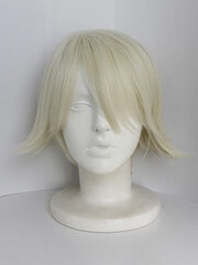 TIGER & BUNNY - Wig: Ivan Karelin