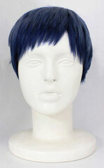 Kuroko's Basketball - Wig: Anime Ver. Daiki Aomine