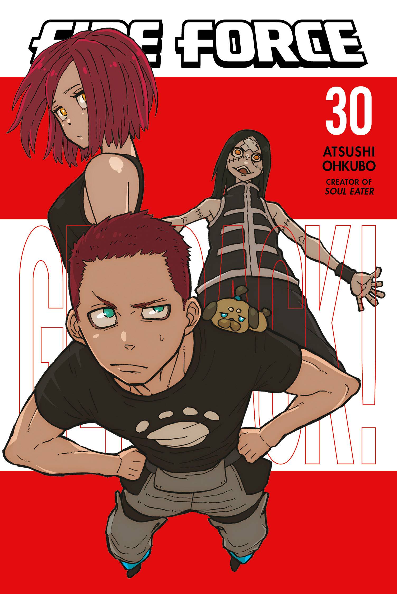 Fire Force Gn Vol 30 (STL237231)