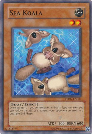 Sea Koala - PTDN-EN037 - Common - Unlimited Edition