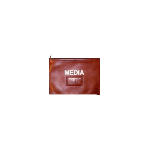 Money Bag