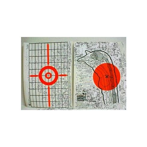 Visible Impact  Targets