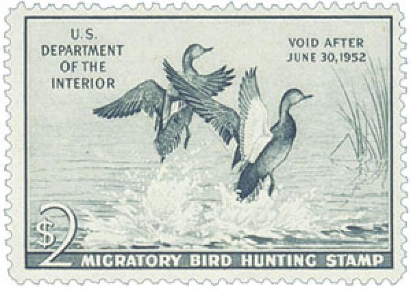 Federal Duck Stamp - Gadwall Ducks